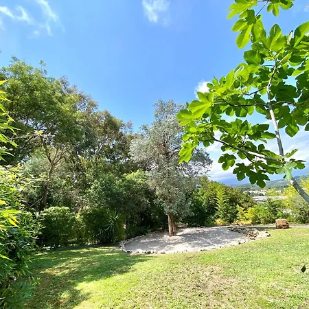Villa Bamboo Zen