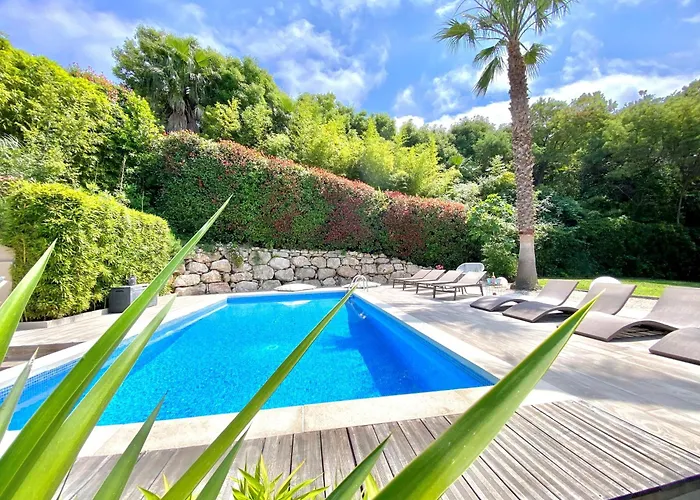 فيلة Bamboo كان